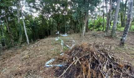Terreno  localizado em loteamento rural