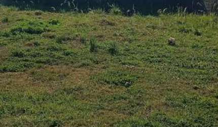 terreno no bairro Niterói Canoas -RS