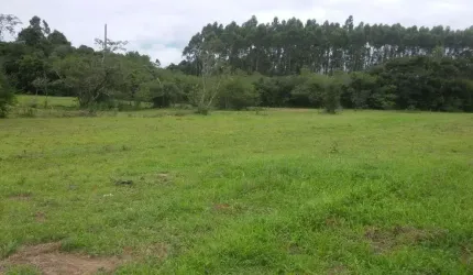 Sitio 8,0 Hectares em Triunfo -  RS