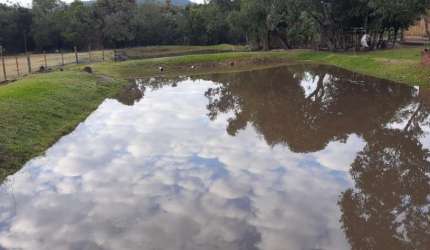 Sitio com 4 Hectares no Bairro Lami em Porto Alegre - RS