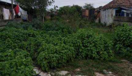 Terreno Bairro Niterói Canoas - RS