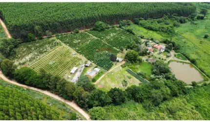 SITIO DE 4,7 HECTARES PARA VENDA  COM CERTIFICADO ORGANICO PARA PRODUÇÃO  DE CAFE EM SERRA NEGRA S.P.