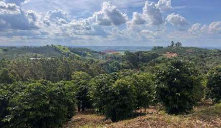 SÍTIO 87725 M2 , 01 CASA DE CASEIRO COM SALA, COZINHA, BANHEIRO E ÁREA COM FOGÃO A LENHA E LAVANDERIA, CASA COM 2 QUARTOS ,SALA, COZINHA