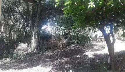 Terreno para Venda - 0m², 0 dormitórios, Cecília