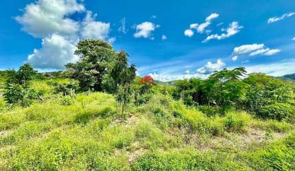 FAZENDA apenas 100 METROS da BEIRA DA PISTA com 191 HECTARES em ARACOIABA | Centro, Aracoiaba-CE