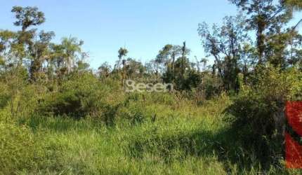 EXCELENTE TERRENO PARA INVESTIMENTO COM 375,00M² NA RUA 3200, LOCALIZADO NA FIGUEIRA DO PONTAL - ITAPOÁ/SC.