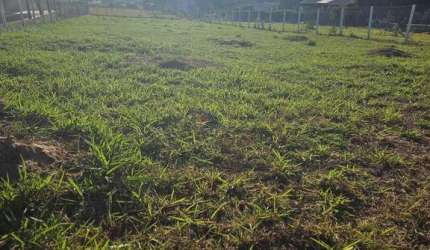 Terreno a venda no Jardim Ibituruna, Piratininga-SP