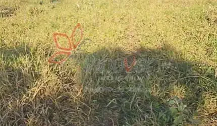 Terreno, Jardim Ibituruna, Piratininga-SP.