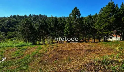 Terreno à venda, 10068 m² por R$ 295.000,00 - Ponte Alta - Guararema/SP