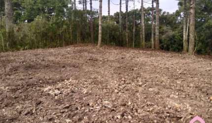 Terreno à venda no Desvio Rizzo, Caxias do Sul , 861 m2 por R$ 290.000