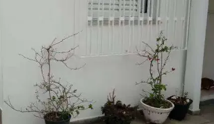 Sobrado à venda, 72 m² por R$ 1.500.000,00 - Freguesia do Ó - São Paulo/SP
