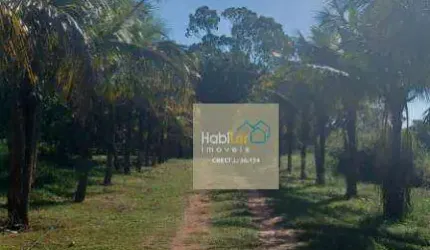 Sítio à venda, 72600 m² por R$ 1.530.000,00 - Zona Rural - Mendonça/SP
