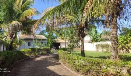 Chácara com 2 dormitórios à venda, 1000 m² por R$ 350.000,00 - Residencial Vista Alegre II e III (Zona Rural) - São José do Rio Preto/SP