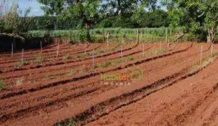 Sítio à venda, 24200 m² por R$ 850.000,00 - Zona Rural - Nova Aliança/SP