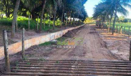 Sítio à venda, 471900 m² por R$ 7.450.000,00 - Zona Rural - Monte Aprazível/SP