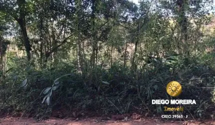 Terrenos em Terra Preta com área de 500 m² - 2 lotes disponíveis