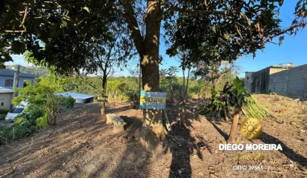 Terreno à Venda em Terra Preta – Oportunidade Imperdível!