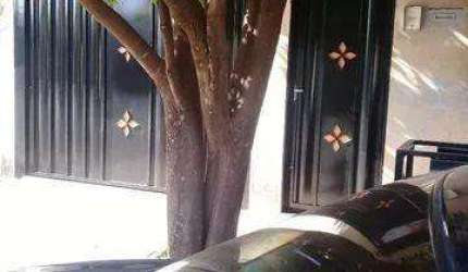Casa para Venda em Ribeirão Preto, Parque São Sebastião, 3 dormitórios, 2 banheiros, 2 vagas
