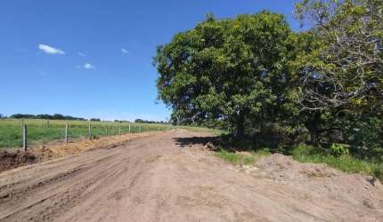 Sítio para Venda em Cajuru, Zona Rural
