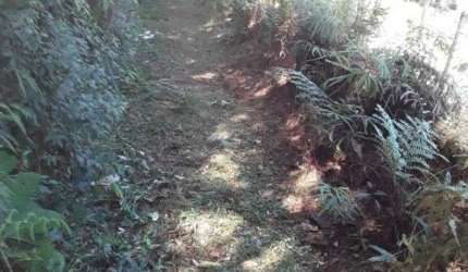 Fazenda à venda no Embu Guaçu