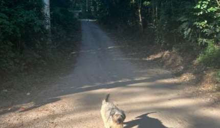 Terreno à venda no Embu Mirim com 5.02m²
