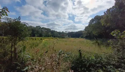 Sitio 20,000m² Embura