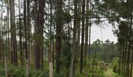 Excelente terreno de 54.330 m² a venda . Embu-Guaçu - SP