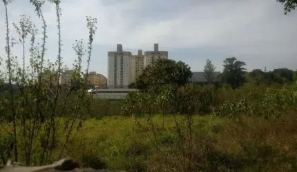 Terreno Oportunidade Barueei