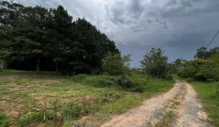 LOTE 1.420,00 m², plano e sem árvores grande porte