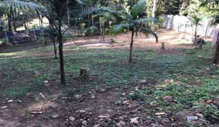 (LOTE) 1.000 m² limpo e pronto p/ construir!