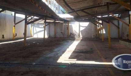 Terreno à venda, 250 m² por R$ 490.000,00 - Centro - Ribeirão Preto/SP
