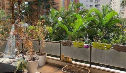 Apartamento em Moema  -  São Paulo