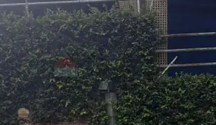 CASA PARA LOCAÇÃO NO JARDIM PAGLIATO   - SOROCABA/SP