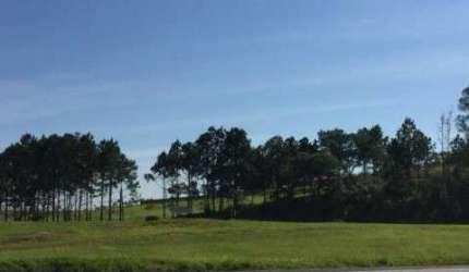ÁREA PARA LOCAÇÃO NO PARQUE TECNOLÓGICO DE SOROCABA -SOROCABA/SP