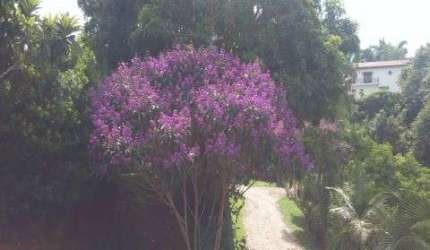 CHACARA À VENDA NO JARDIM DO SOL - SOROCABA/SP