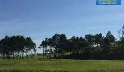 Terreno, 10900 m² - venda por R$ 6.900.000 ou aluguel por R$ 10.000/mês - Vila Artura - Sorocaba/SP