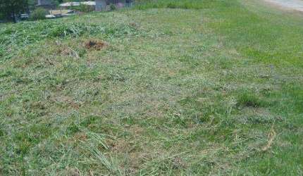 Terreno à venda, 1000 m² por R$ 140.000,00 - Éden - Sorocaba/SP