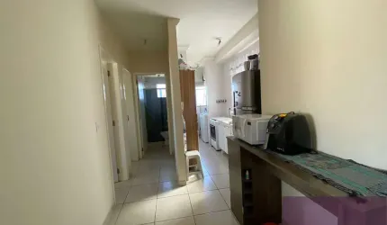 Apartamento em Residencial Cosmos, Campinas/SP