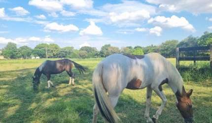 Chácara no Condomínio Santa Filomena em Salto, ideal para cavalos e pequenos cultivos, além de um amplo espaço para seu descanso e lazer