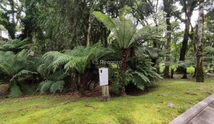 TERRENO A VENDA DE 1.093M² EM CONDOMINIO, GRAMADO, O Bosque, Gramado - RS