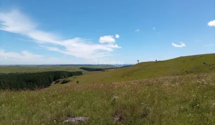 ÁREA A VENDA EM SÃO FRANCISCO DE PAULA , Sao Francisco de Paula - RS