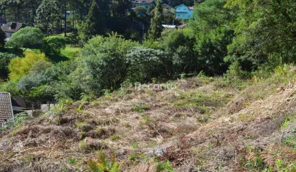 TERRENO À VENDA, 940 M²  PÓRTICO - GRAMADO/RS, Pórtico, Gramado - RS