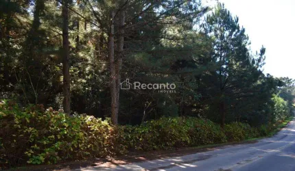 ÁREA À VENDA, 82000 M² - MATO QUEIMADO - GRAMADO/RS, Mato Queimado, Gramado - RS
