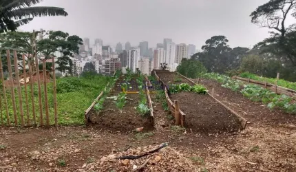 Terreno com projeto aprovado para comércio em avenida de grande movimento.