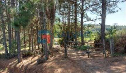 Sitio à venda no Bairro Pitangal em Jarinu - SP