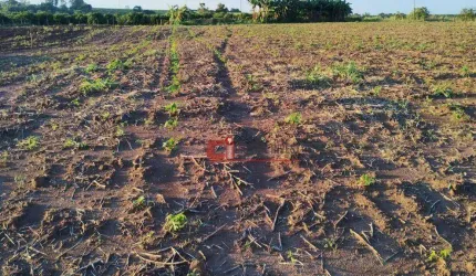 Terreno à venda, 5000 m² por R$ 500.000 - São João da Glória - Mogi Mirim/SP