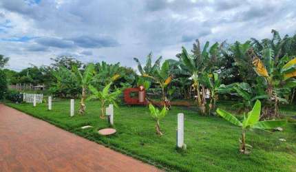 Chácara com 4 dormitórios à venda, 3000 m² por R$ 689.000,00 - Zona Rural - Brodowski/SP