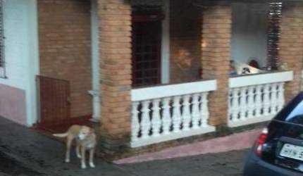Casa residencial à venda, Chácara Primavera, Jaguariúna.