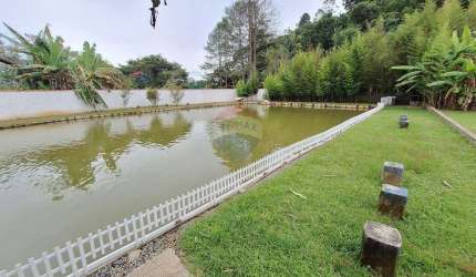 Chácara - área com piscina à venda em Suzano com 4000m²