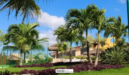 Lote à venda Alphaville Pium, 597m²
